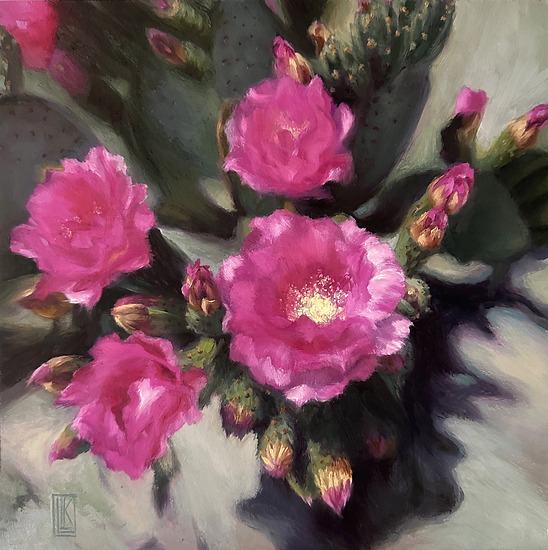 Desert Fireworks, fuchsia colored cacti flowers bursting forth in bloom under the bright Arizona sun., 2025 oil painting on wood panel by Laura L. Krusemark
