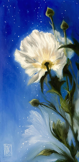 California Poppy Dreams, california white poppy against a blue sky, 2025 oil painting on wood panel by Laura L. Krusemark