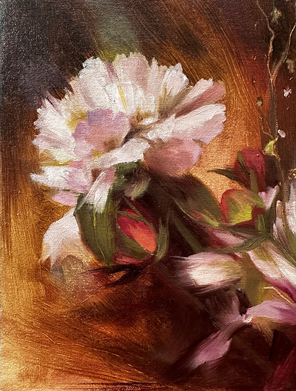 Peony + Roses, soft peony flower with burnt sienna background, 2026 oil painting on linen by Laura L. Krusemark