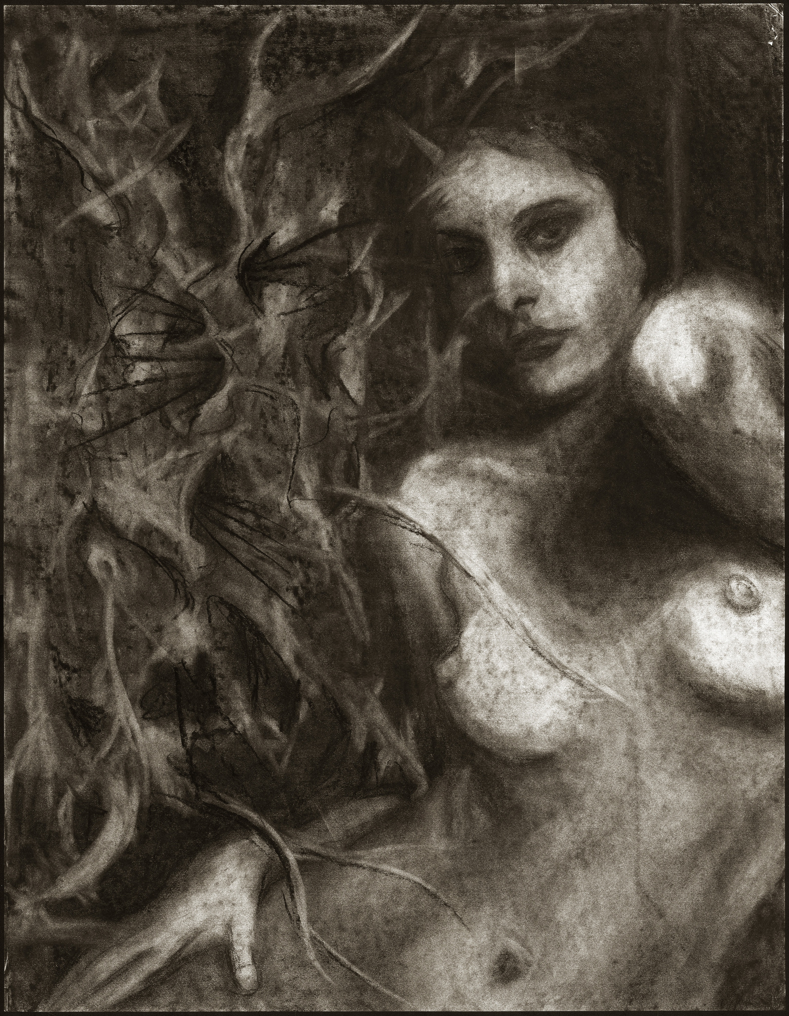 Tangled, nude woman figure with vines and branches, dark textured background, 2001 charcoal painting on paper by Laura L. Krusemark