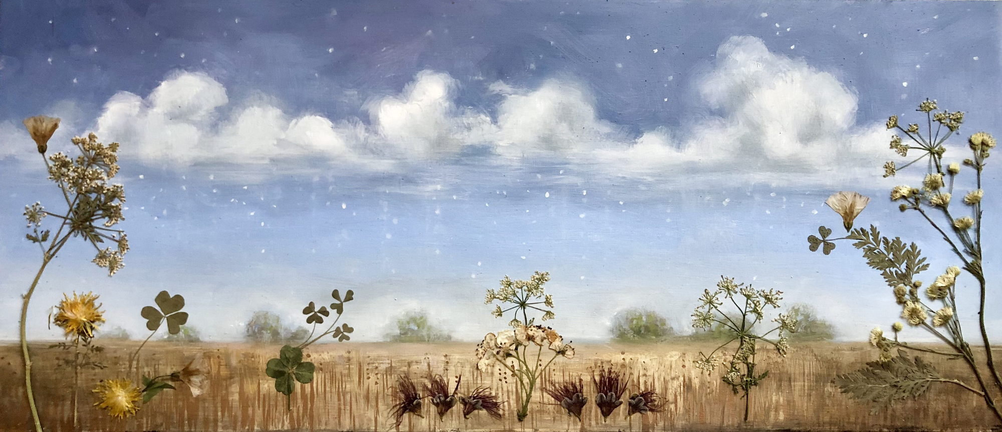 Eternal Spring, wide field with small plants under cloudy sky, horizontal composition, 2022 oil painting on wood panel by Laura L. Krusemark