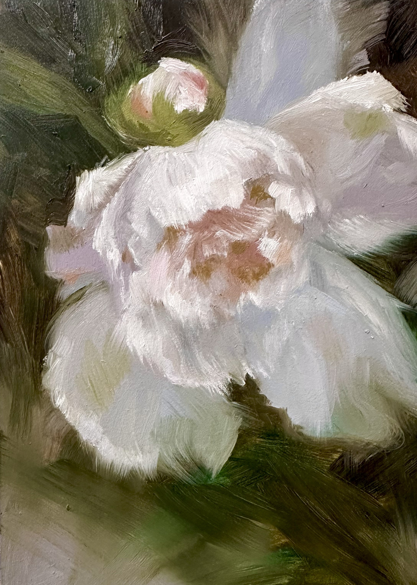 Peony, soft pink peony flower on green background, 2026 oil painting on wood panel by Laura L. Krusemark